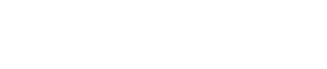 NanoTek